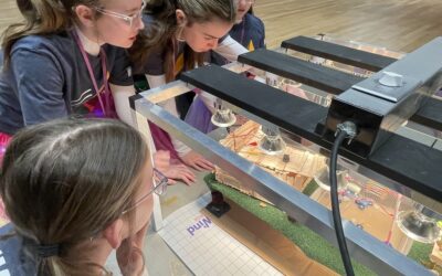 Energy Education Academy Summer Camp Registration Now Open!